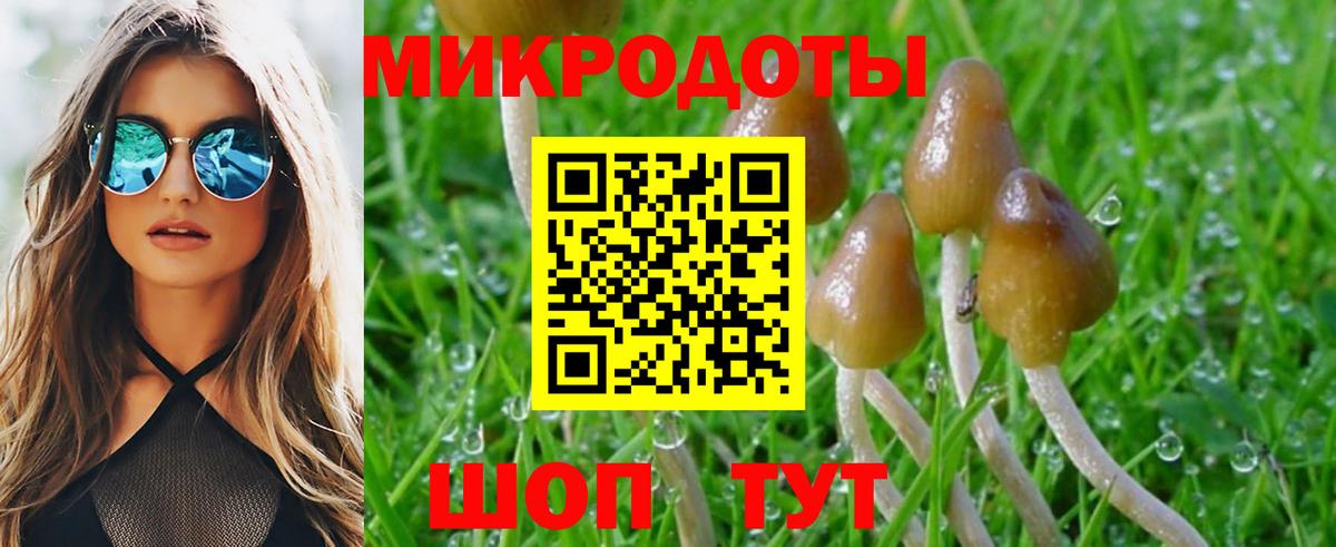 Галлюциногенные грибы прущие грибы Георгиевск